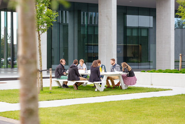 people enjoying lunch outside